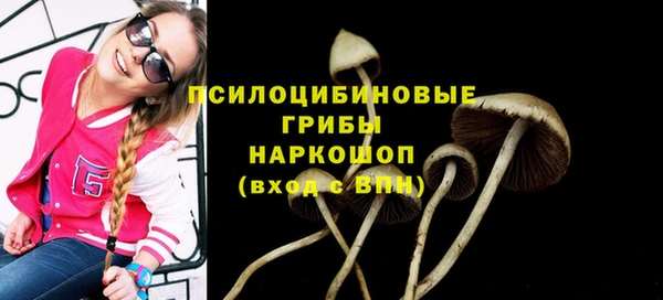 соль ск Билибино